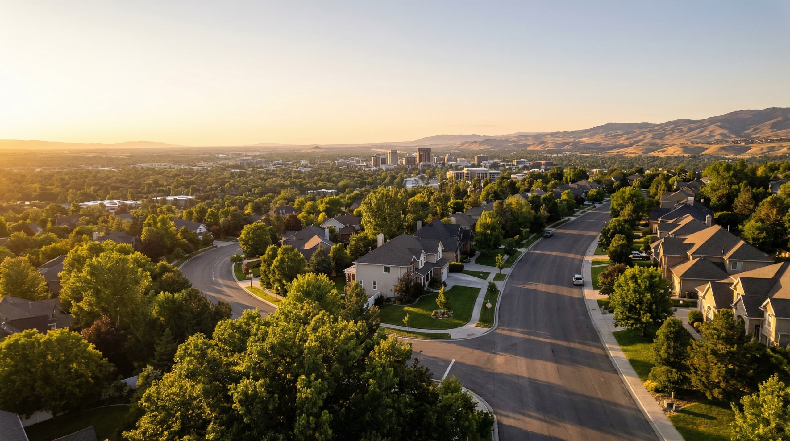 The Bench neighborhood pest control